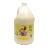 Sno-Kone Syrup Case 4gal (26 Flavors) 4 Free Pumps