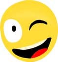 Winking Emoji Chocolate Mold - FREE CUSA SHIPPING  iphone samsung texting Wink Face