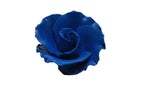 Formal Rose Flower 1.5" Royal Blue - Set of 3 Gumpaste