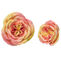 Apricot Nectar Gum Paste Roses