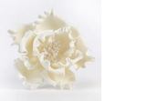 4" Ivory Gumpaste Peony Flower