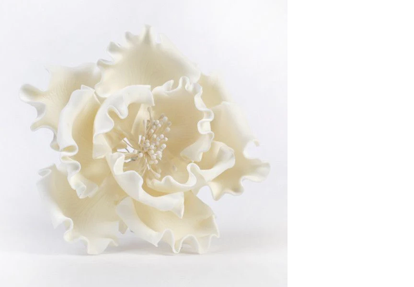 4" Ivory Gumpaste Peony Flower