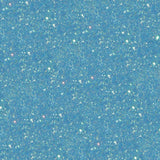 DISCO DUST 5g CHOOSE From 25 COLORS