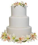 Large Orange Stargazer Gumpaste Lily Set
