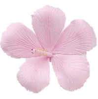 Hibiscus Gumpaste Flower Set of 3 (YOU CHOOSE COLORS)